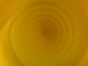 工具最新趋势解读
