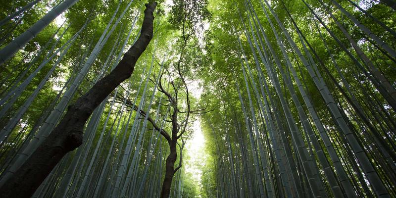方案全面对比分析